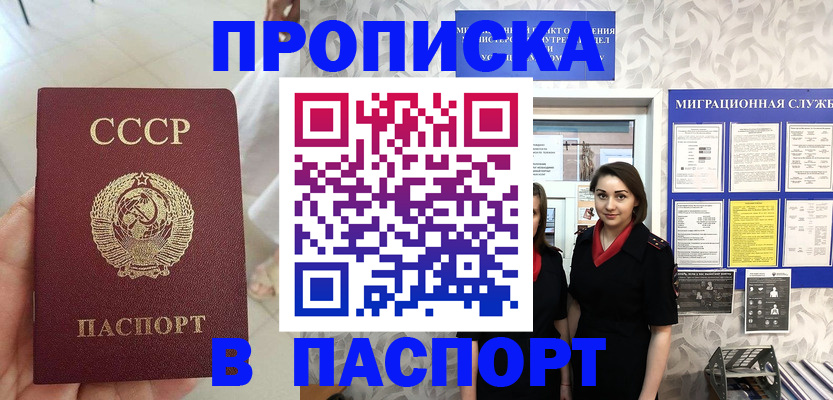 прописка 2025 в Шали